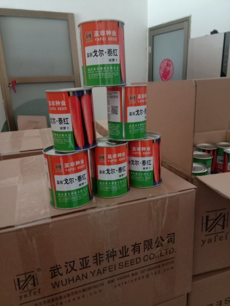 高端优质胡萝卜种子