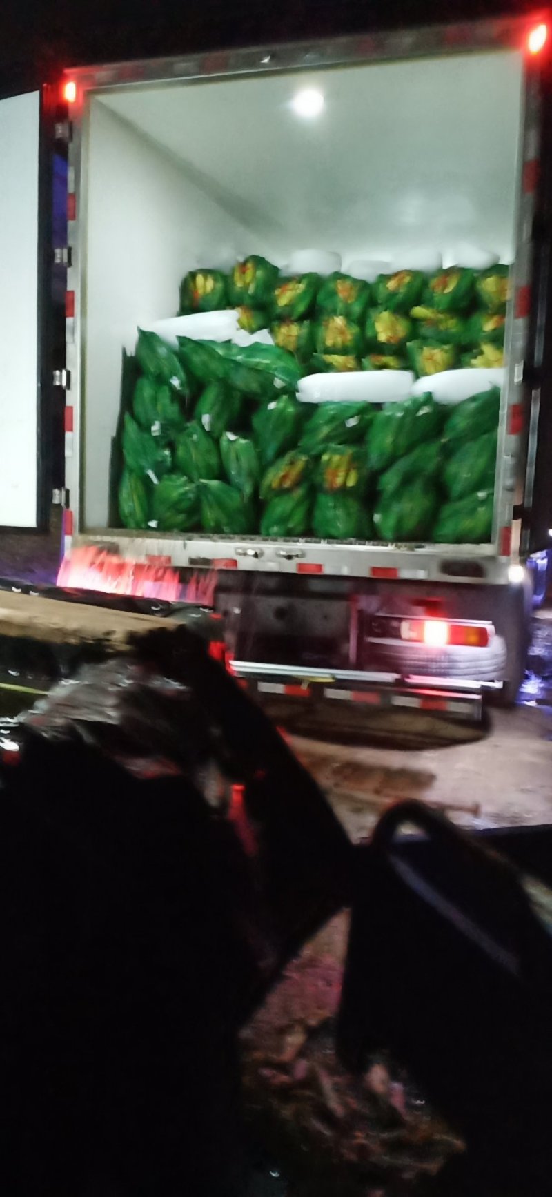 各种精品双色水果玉米批发