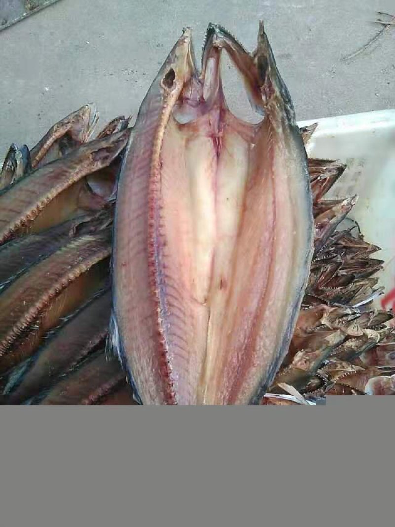 高品质鲅鱼干