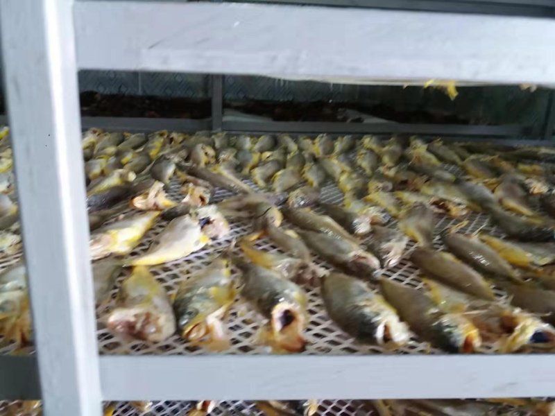 高品质鲅鱼干