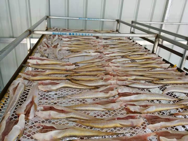高品质鲅鱼干