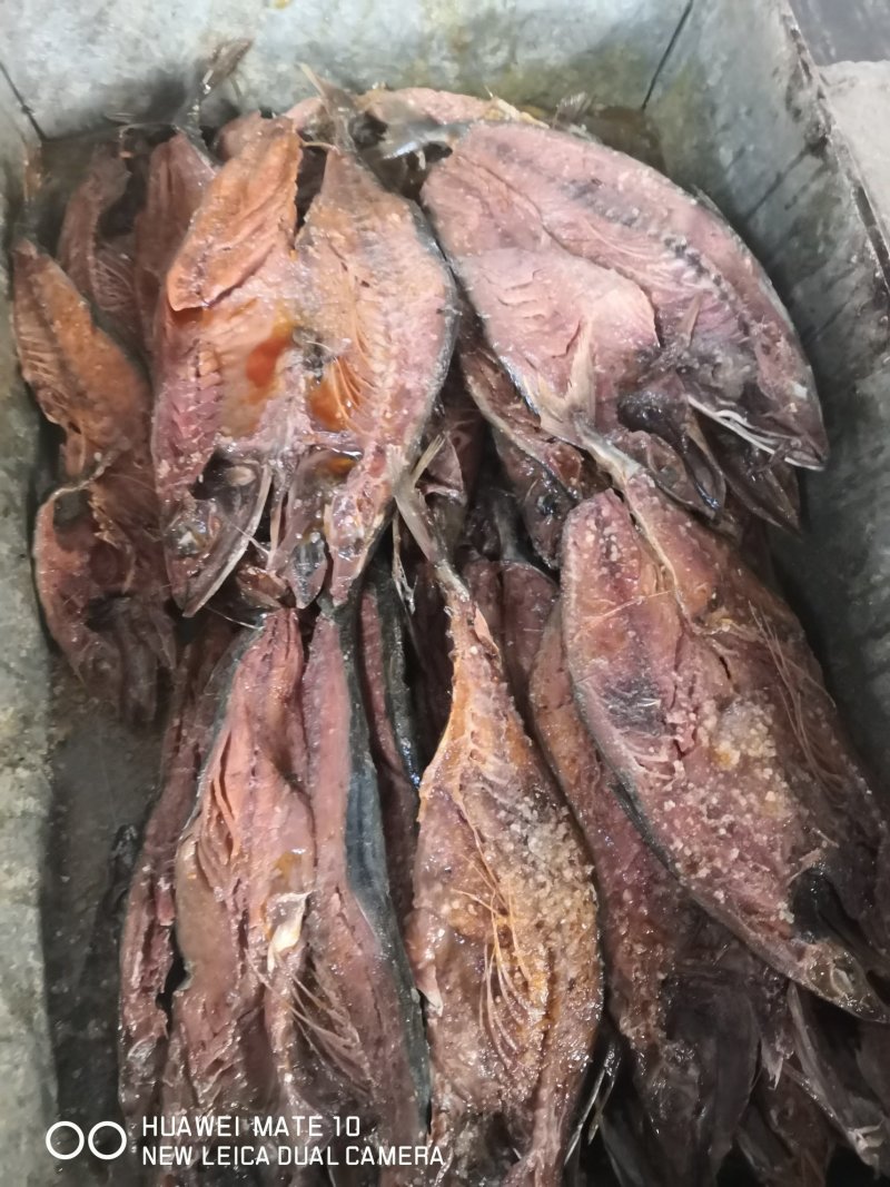 高品质鲅鱼干