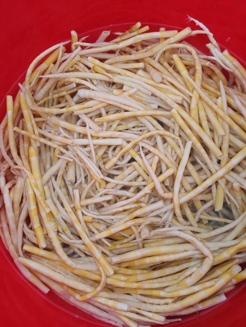 竹笋八月笋慈竹笋竹笋小竹笋保鲜笋笋尖