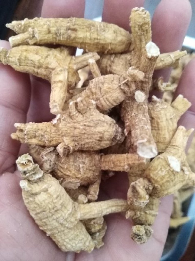 正宗美国花旗参，可免费打粉