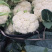 瑞安市登明蔬菜专业合作社