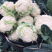 瑞安市登明蔬菜专业合作社