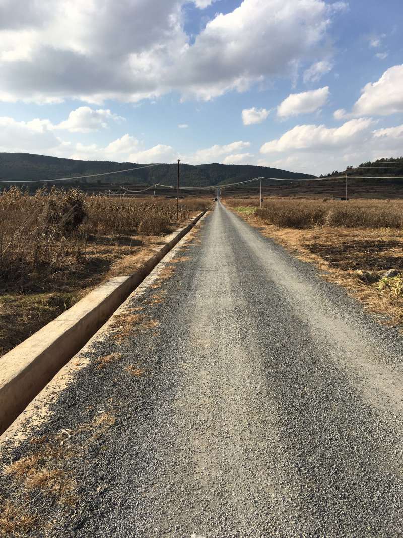 80亩青花种植用地出租，也可以建设大棚