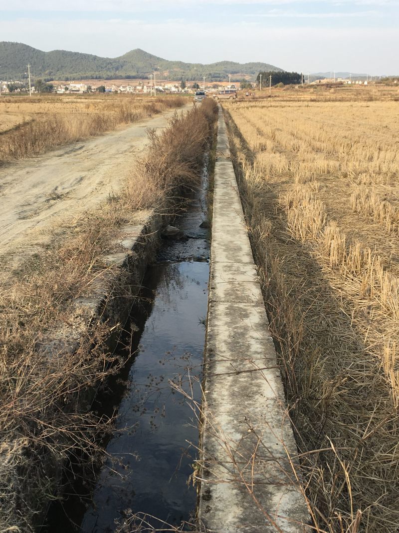 80亩青花种植用地出租，也可以建设大棚