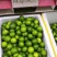 广西无籽青柠檬越南品种无籽柠檬广西产