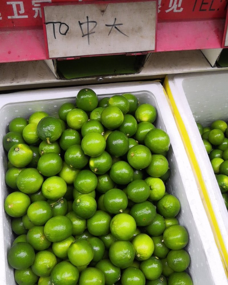 广西无籽青柠檬越南品种无籽柠檬广西产