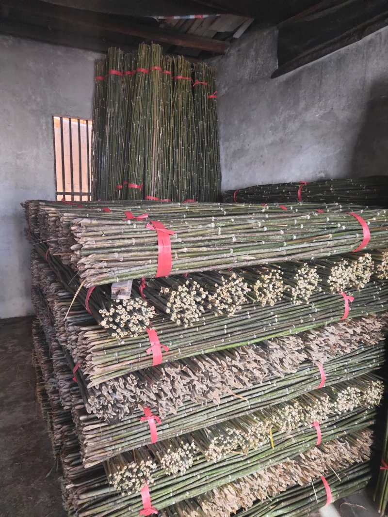 欢迎订购！大量新剁竹子。