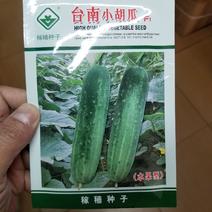 台湾进口，一代交配，10克台南小胡瓜种子