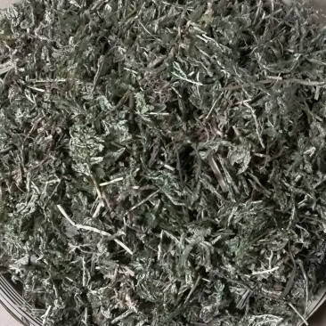 石上柏云南1公斤起批无硫无添加不包邮只做正品