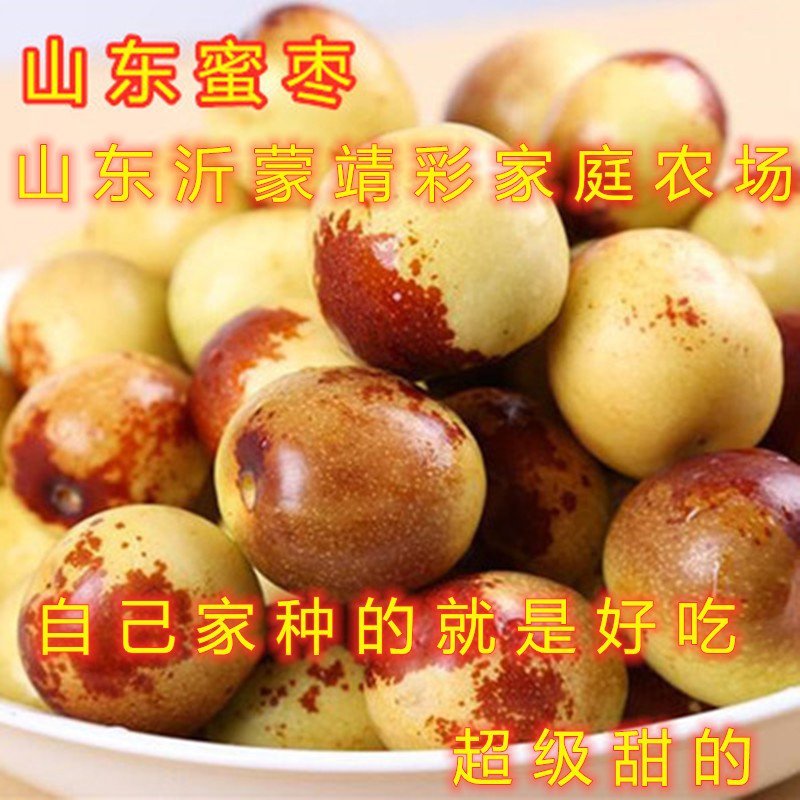 台湾大青枣苗新品种枣树苗南北方种植枣树苗包品种