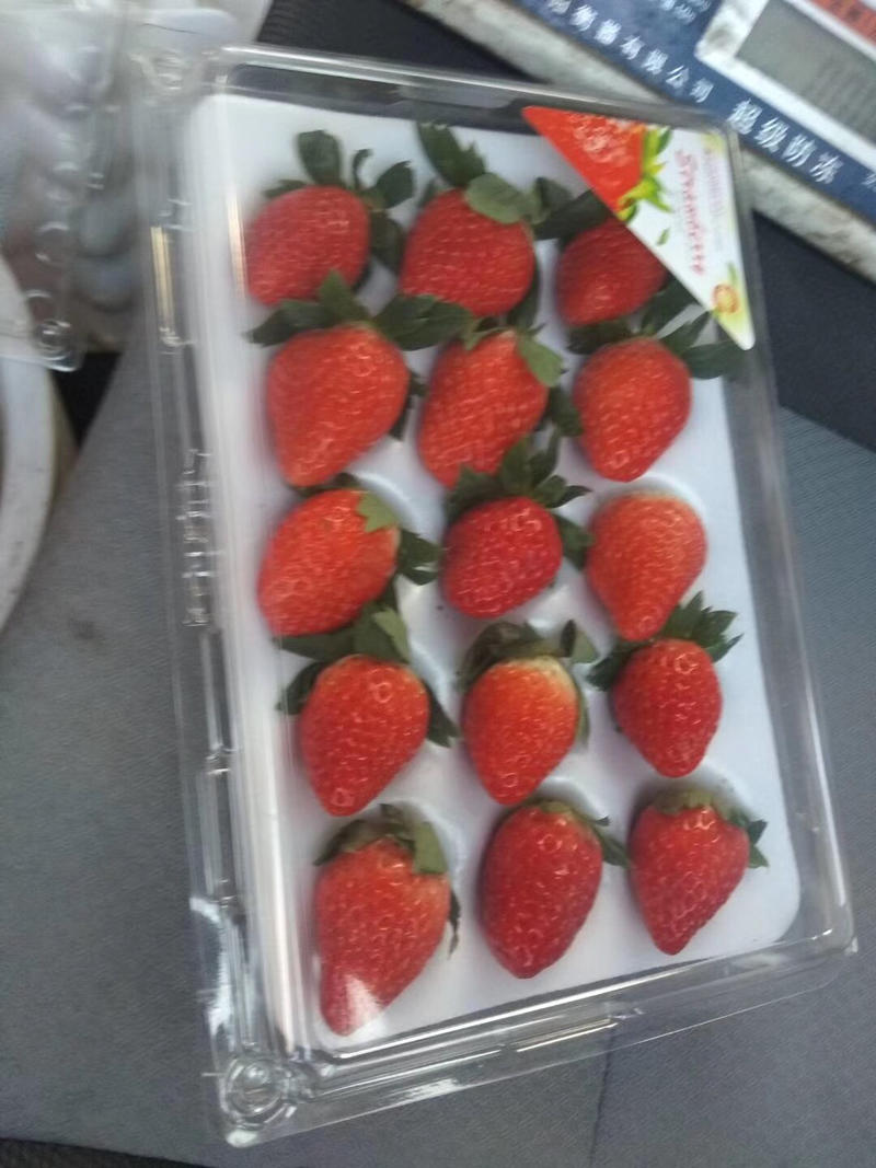 各种精品包装，甜宝草莓大量上市口感很好欢迎老板前来考察