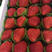 各种精品包装，甜宝草莓大量上市口感很好欢迎老板前来考察