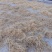 野生鱼腥草干根泡茶泡水