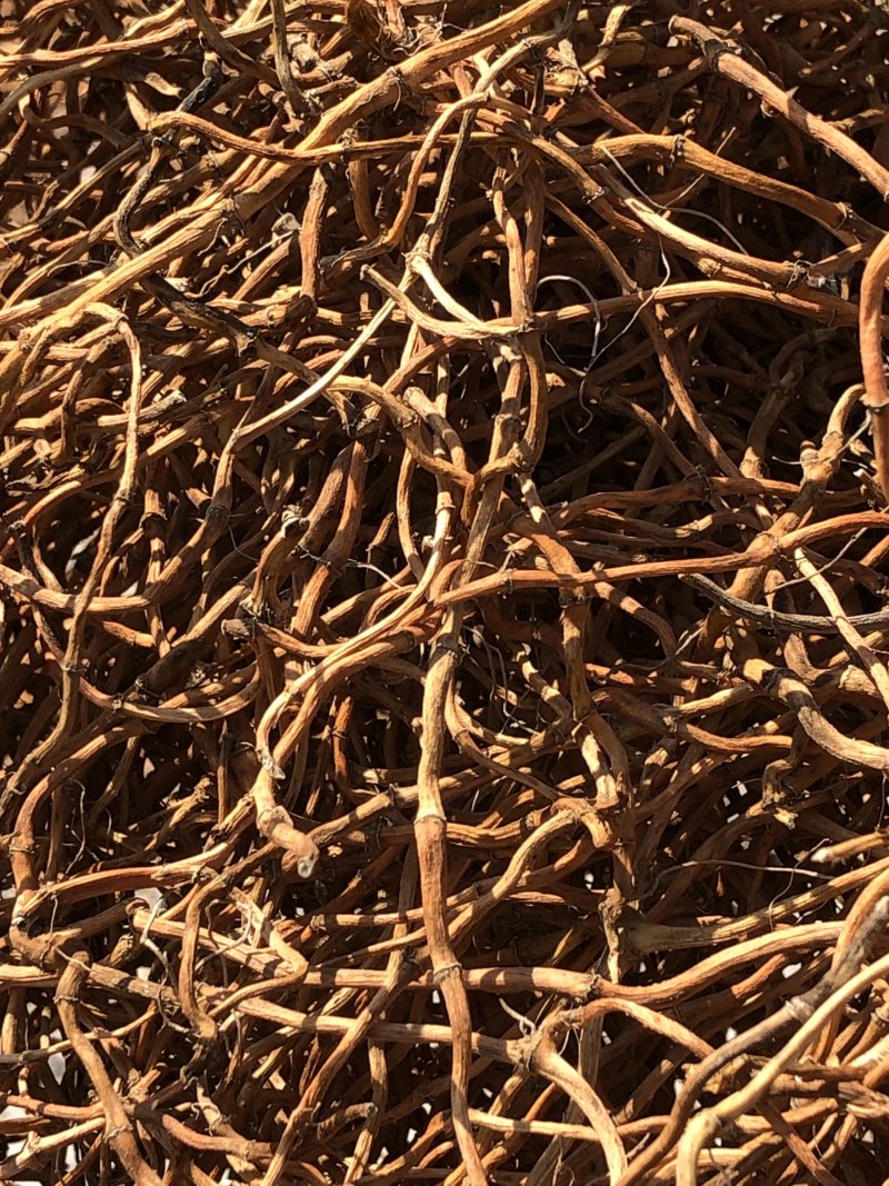 野生鱼腥草干根泡茶泡水