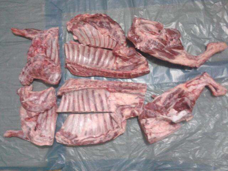 新疆羊肉可分割包装送到机场长期供货量大优惠