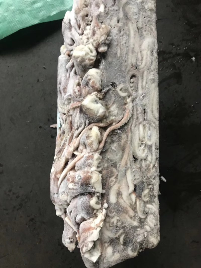 鱿鱼头北太赤鱿