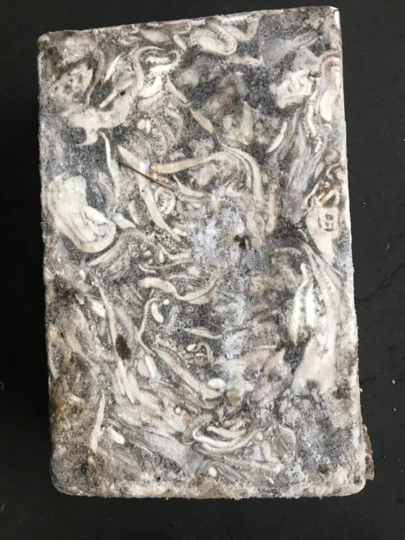 鱿鱼头北太赤鱿