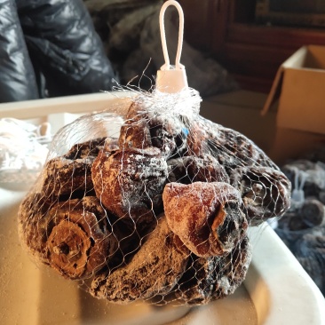 柿饼老树柿饼