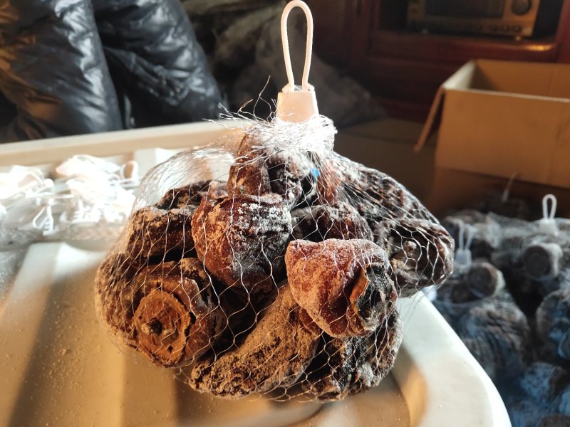 柿饼老树柿饼