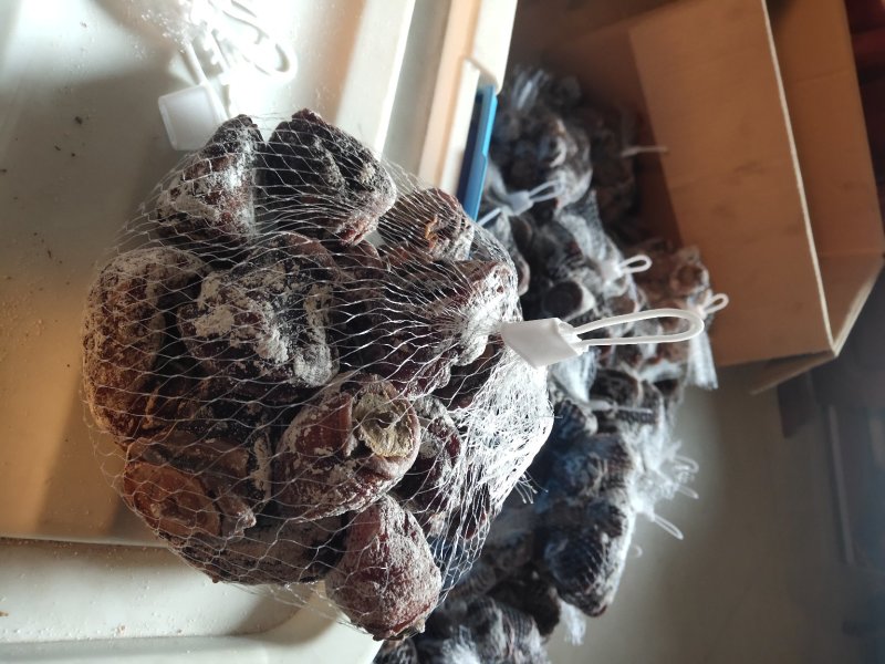 柿饼老树柿饼