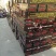 黄金鲅鱼，野生鲅鱼