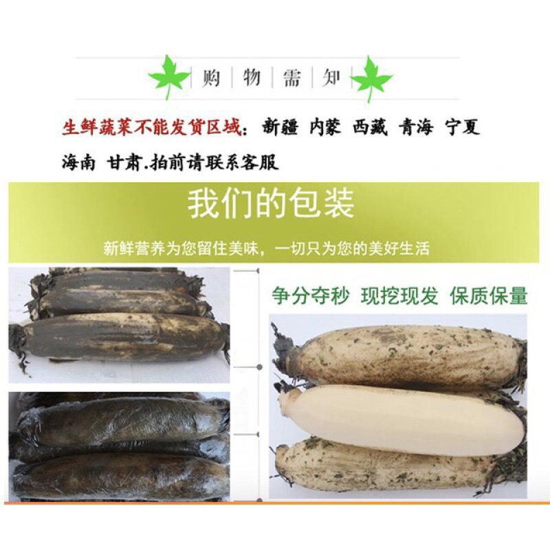 有机莲藕河南万亩荷塘无公害绿色食品