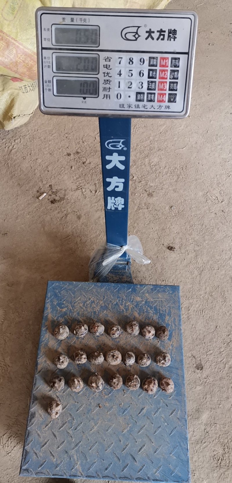 马蹄上市，电商、平台，中果马蹄，大量稳定供应。