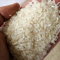 有机种植大米