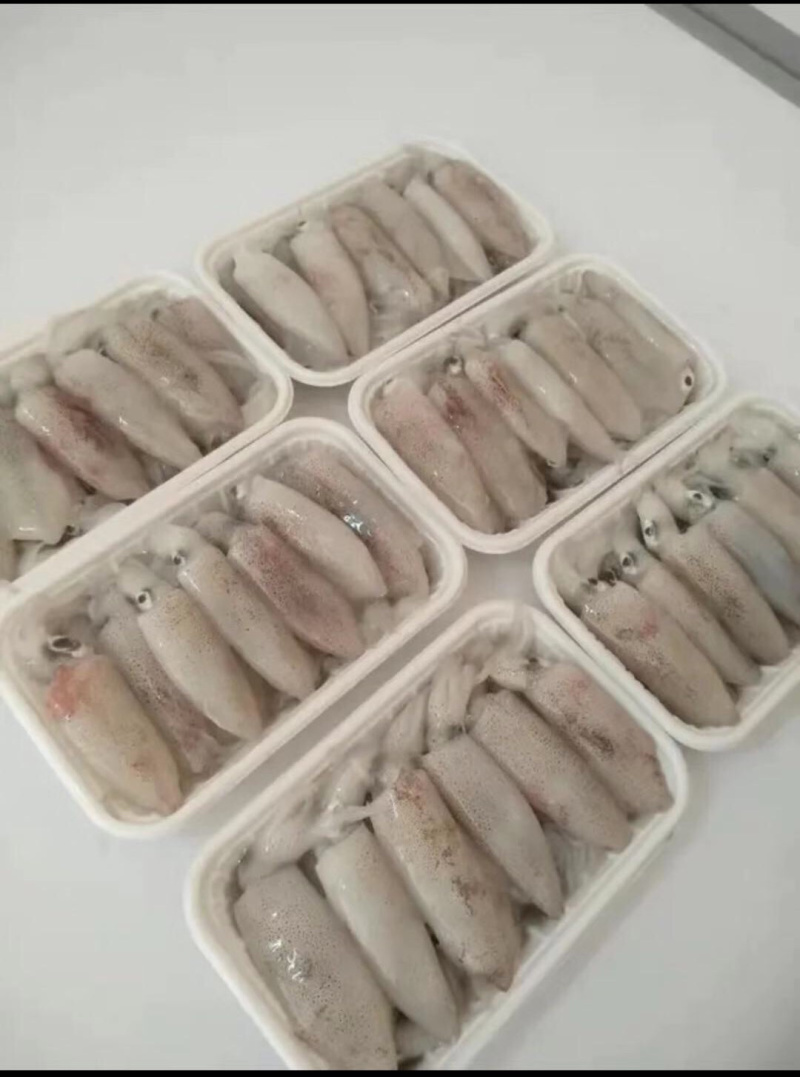 雪地帝王蟹脚