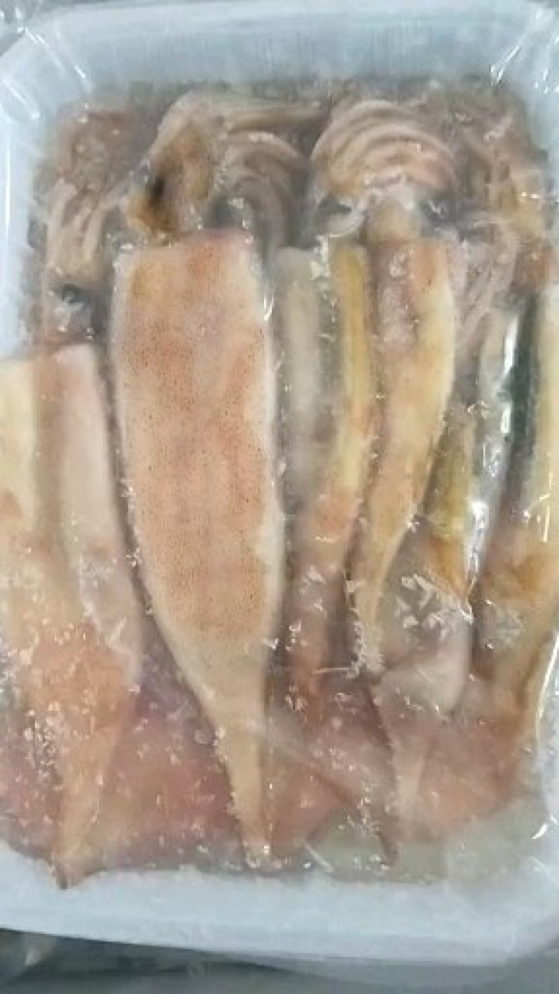 小鱿鱼火锅烧烤小鱿鱼