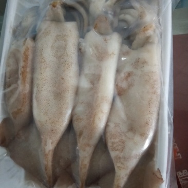 小鱿鱼火锅烧烤小鱿鱼