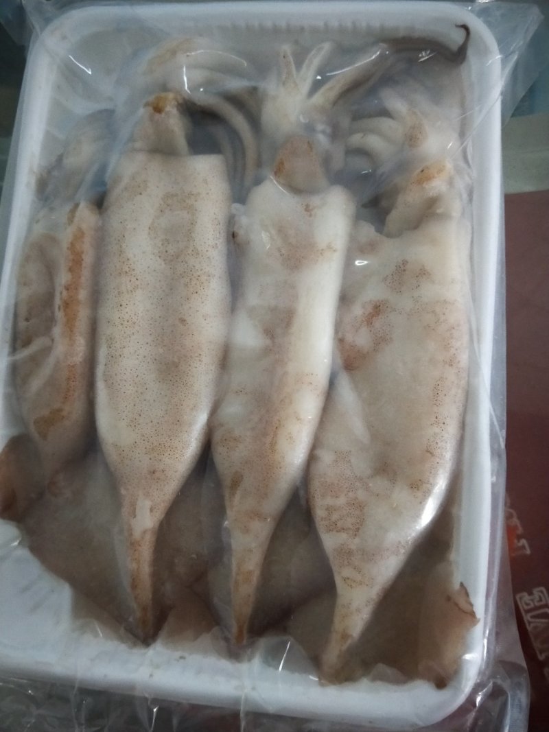 小鱿鱼火锅烧烤小鱿鱼