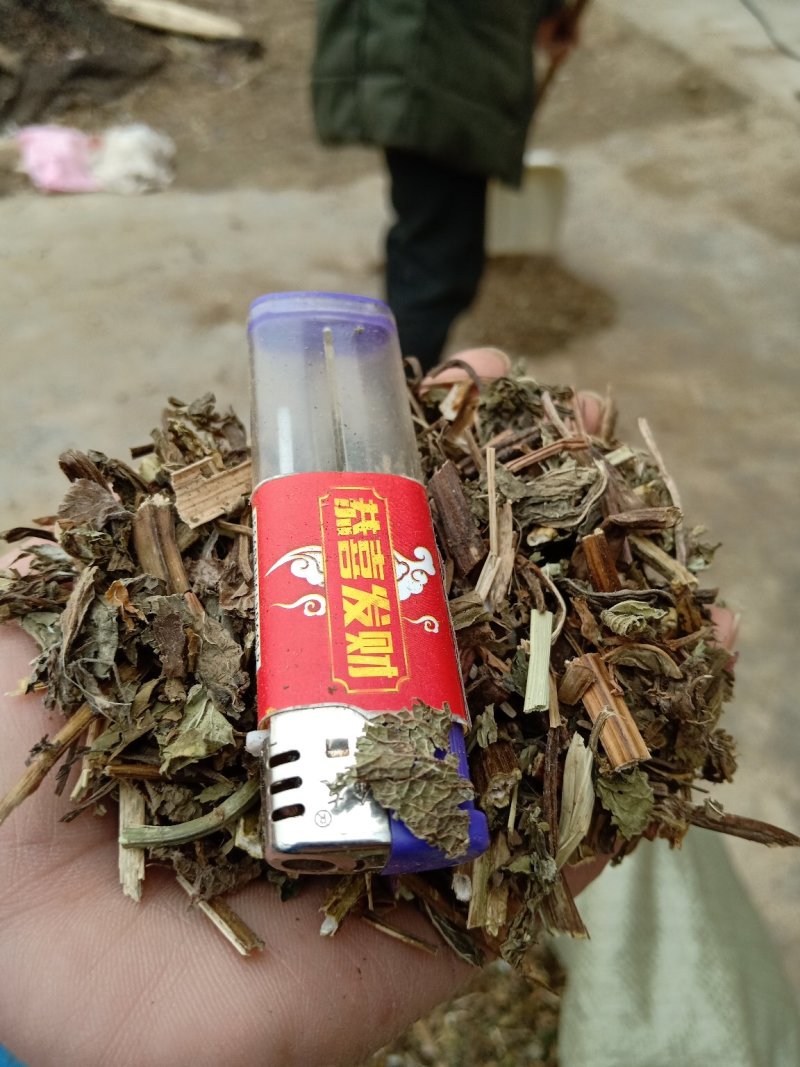仙鹤草片，野生，深山药村。欢迎下单一手货源！。