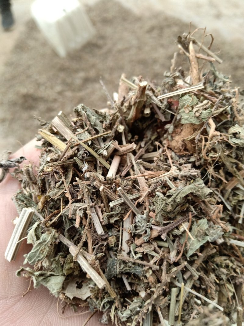 马鞭草片野生：货零售批：发一手货源个片欢迎合作