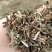 马鞭草片野生：货零售批：发一手货源个片欢迎合作