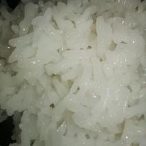 有机种植冬米