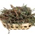 蒲公英茶野生干货500g限量清仓