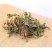 蒲公英茶野生干货500g限量清仓