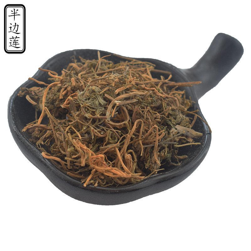 半边莲正品无硫纯净批发中药专营