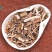 小蓟小蓟小蓟草根小计七七牙刺儿菜水野红花