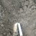 甘肃临洮白条党参农家自产无硫足干产地一手货源规格