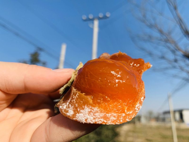 陕西富平柿饼天然霜降吊柿饼一件代发尖柿