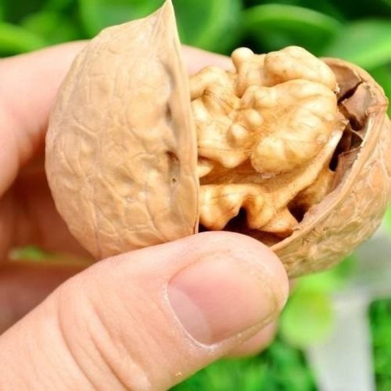 2020新疆特产纸皮薄皮185核桃单手开壳薄如纸
