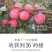 正宗烟台栖霞红富士苹果10斤包邮产地直发支持一件代发