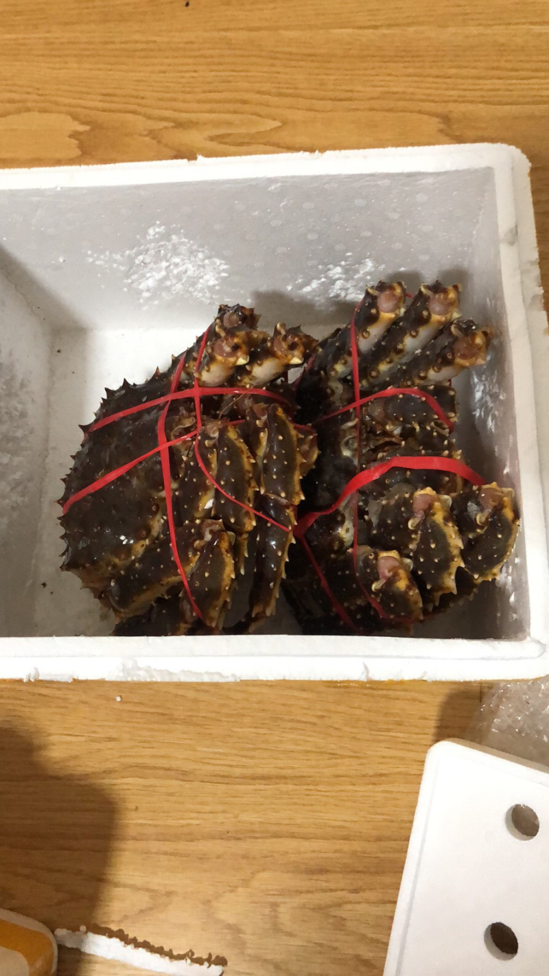 帝王蟹