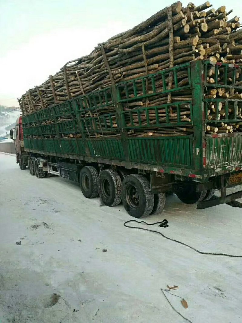 长白山灵芝孢子粉散装头道粉产地直发好欢迎咨询下单